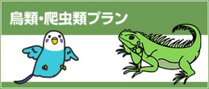 日本アニマル倶楽部のペット保険 鳥類・爬虫類プラン