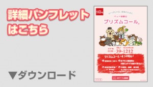 日本アニマル倶楽部のペット保険 パンフレットのダウンロード