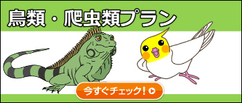 日本アニマル倶楽部のペット保険 鳥類・爬虫類プラン