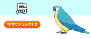 日本アニマル倶楽部のペット保険 鳥プラン