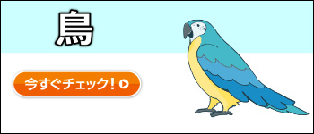 日本アニマル倶楽部のペット保険 鳥プラン