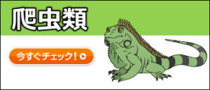 日本アニマル倶楽部のペット保険 爬虫類プラン