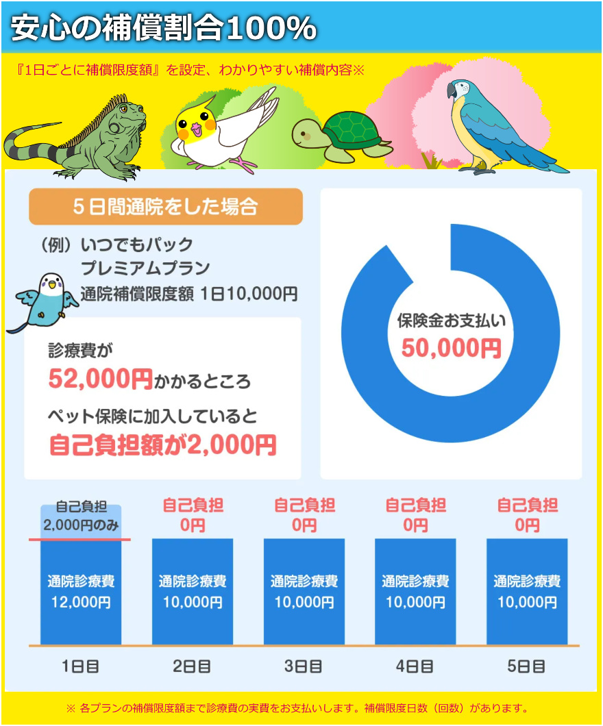 プリズムペット 鳥類・爬虫類プラン 特徴 安心の補償割合100％