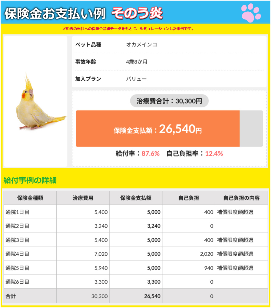 鳥類・爬虫類プラン 保険金お支払い例 そのう炎 オカメインコ