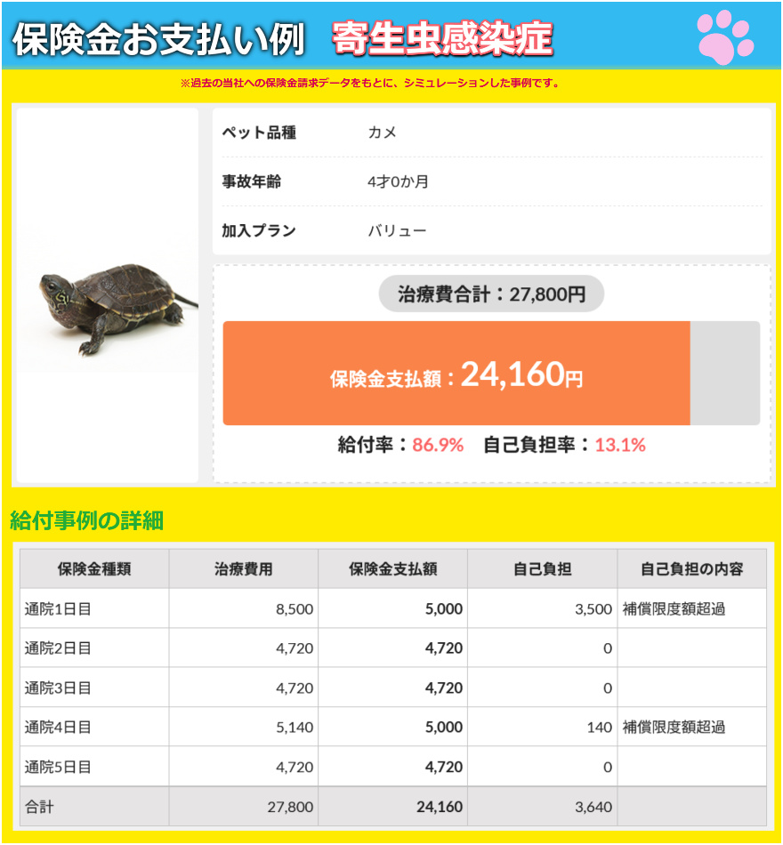 鳥類・爬虫類プラン 保険金お支払い例 寄生虫感染症 カメ